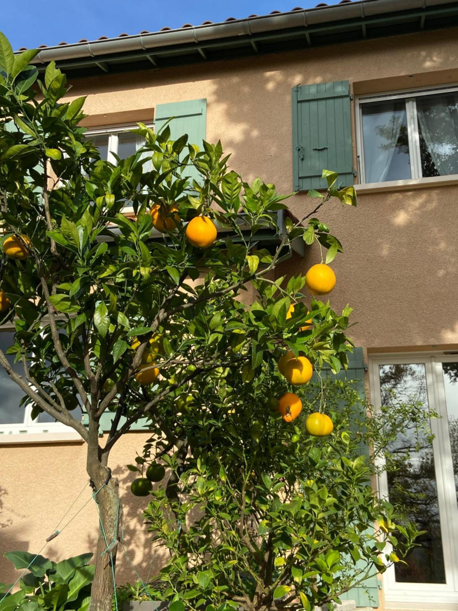 Le Relais Des Malettes Chambres D'Hotes B&B Francheville  Exteriér fotografie