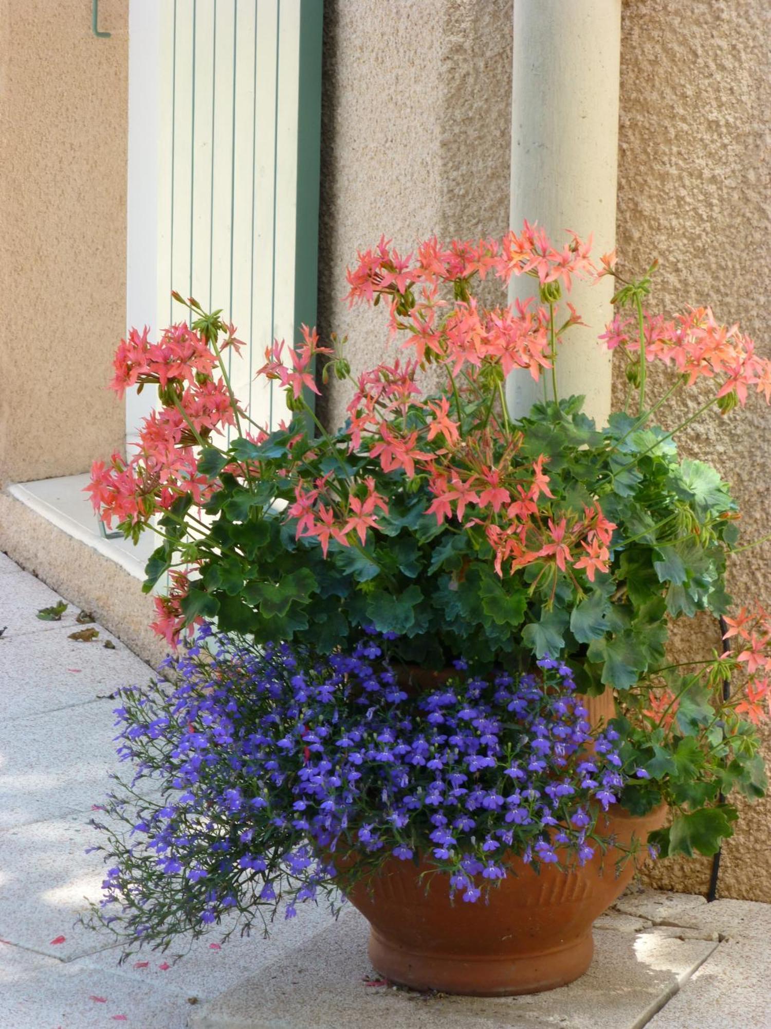 Le Relais Des Malettes Chambres D'Hotes B&B Francheville  Exteriér fotografie