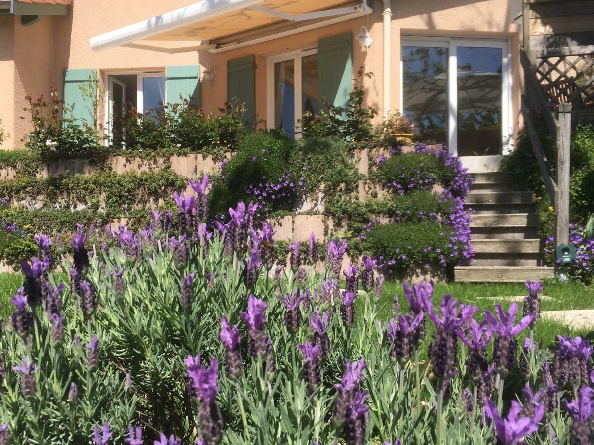 Le Relais Des Malettes Chambres D'Hotes B&B Francheville  Exteriér fotografie